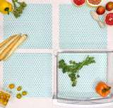 Large Crisper Bin and Shelf Coaster : set of 4